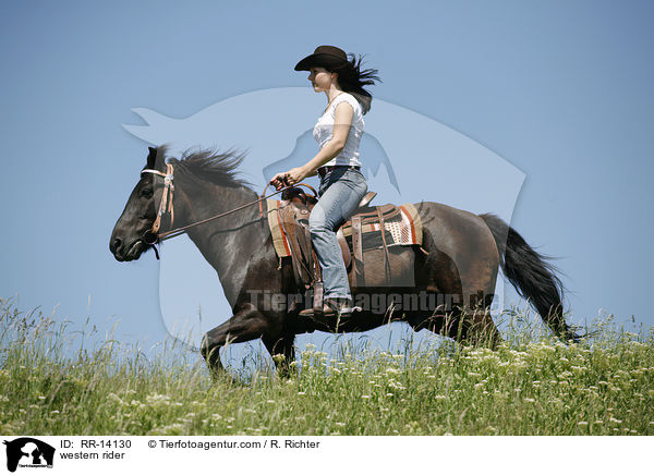 Westernreiter / western rider / RR-14130
