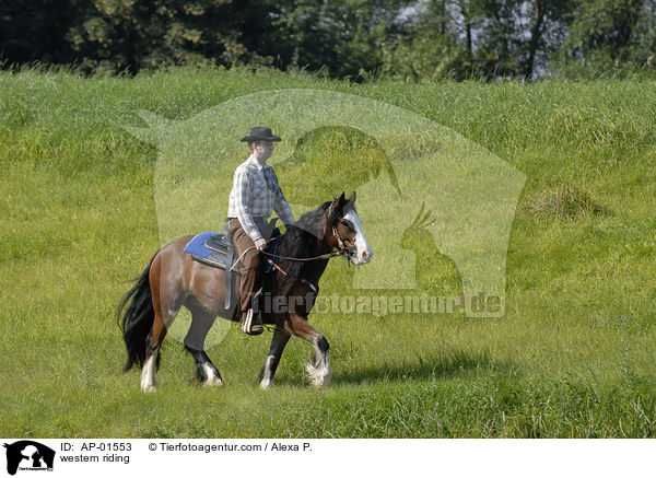 western riding / AP-01553