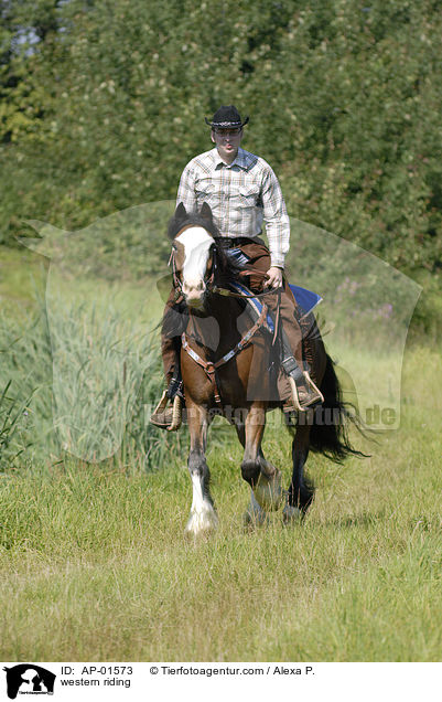 Westerreiter / western riding / AP-01573