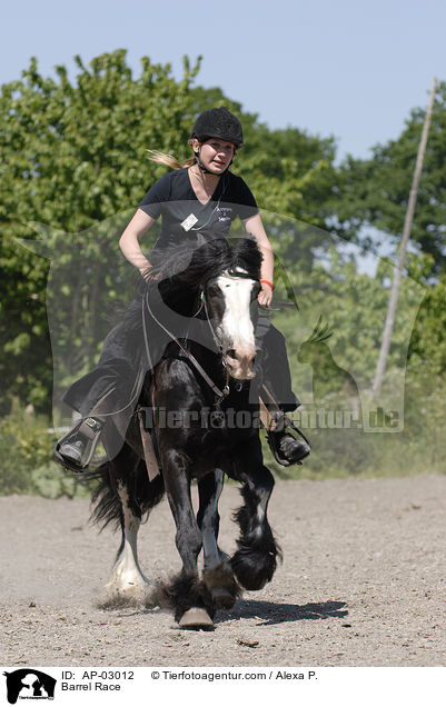 Tonnenreiten / Barrel Race / AP-03012