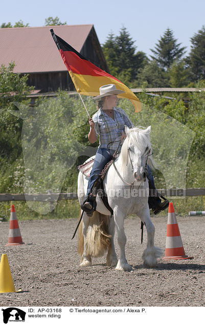 Westernreiten / western riding / AP-03168