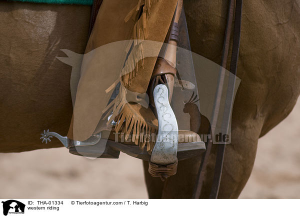 Westernreiten / western riding / THA-01334