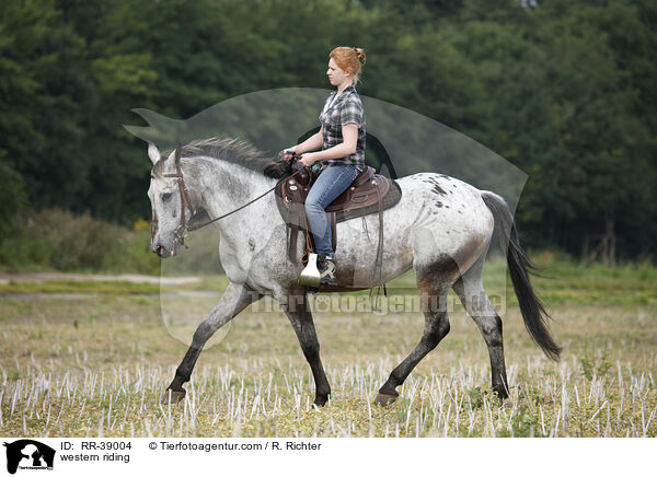 Westernreiten / western riding / RR-39004