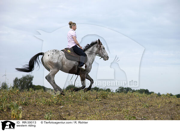 Westernreiten / western riding / RR-39013