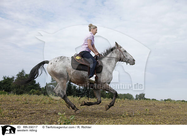 Westernreiten / western riding / RR-39017