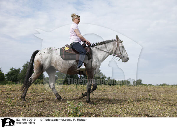 Westernreiten / western riding / RR-39019