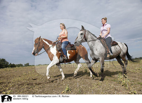Westernreiten / western riding / RR-39021