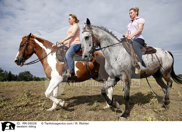 western riding / RR-39028