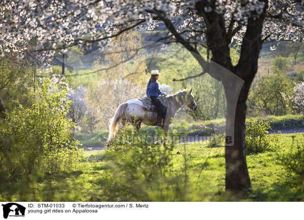 young girl rides on Appaloosa / STM-01033