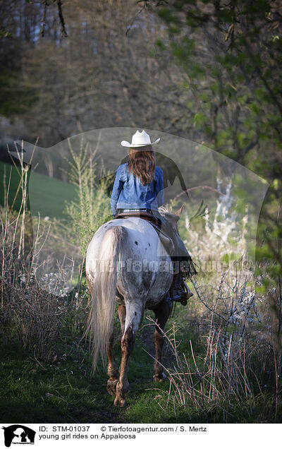young girl rides on Appaloosa / STM-01037