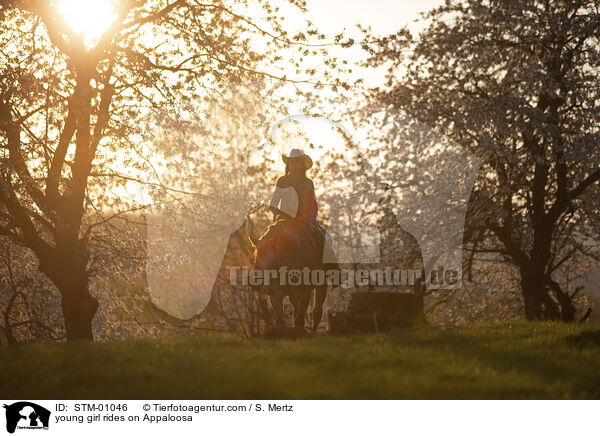 young girl rides on Appaloosa / STM-01046