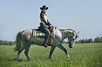 western rider