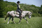 western rider