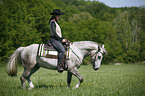 western rider