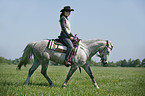 western rider