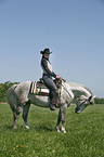 western rider