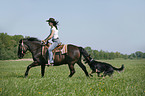 western rider