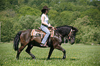 western rider
