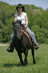 western rider