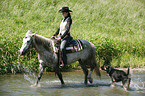 western rider