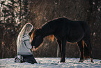 black horse