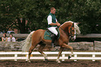 dressage tournament