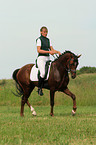 German Riding Pony stallion in dressage training