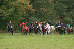 fox hunting