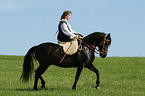 show riding
