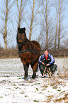 sledging with horse