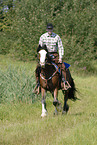 western riding