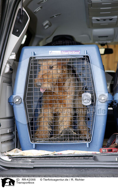Transportbox / dog transport box / RR-42066