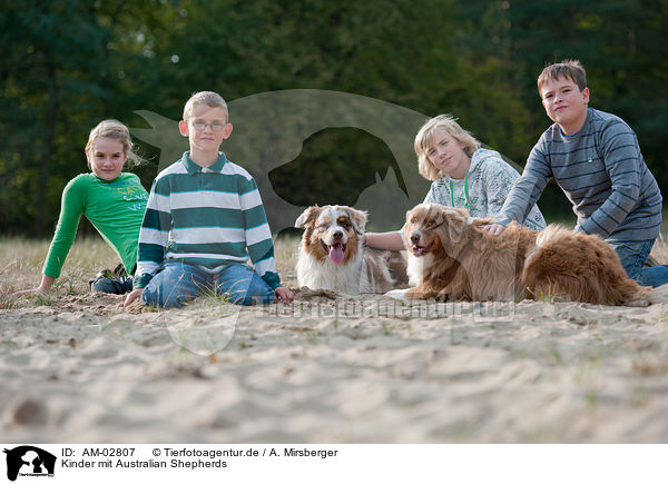 Kinder mit Australian Shepherds / kids with Australian Shepherds / AM-02807