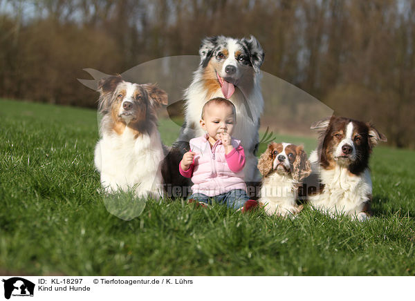 Kind und Hunde / child and dogs / KL-18297
