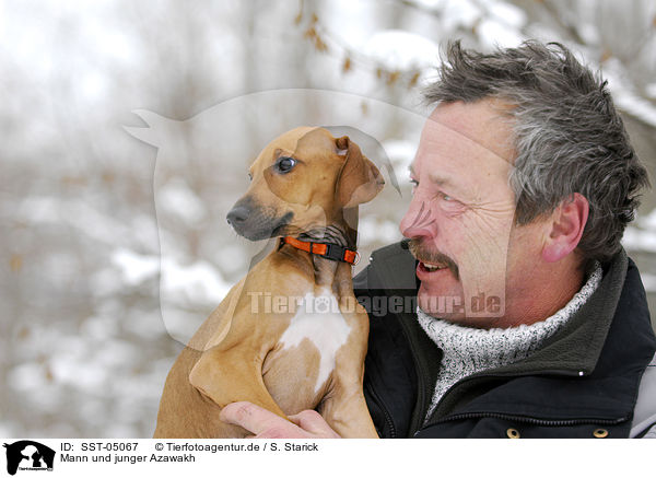 Mann und junger Azawakh / man and azawakh / SST-05067