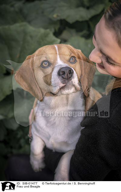 Frau und Beagle / woman and Beagle / SIB-01477
