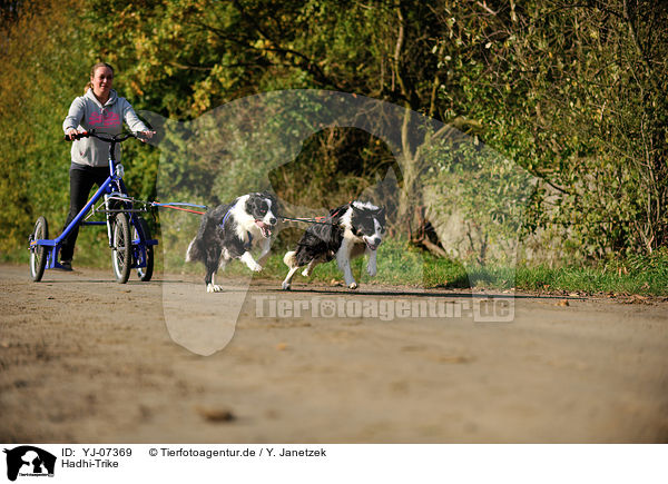 Hadhi-Trike / Hadhi-Trike / YJ-07369