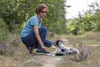 Training mit jungem Miniature Australian Shepherd