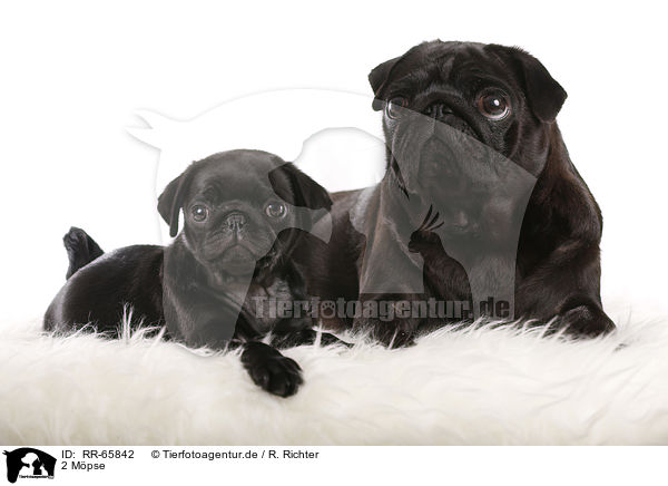 2 M�pse / RR-65842