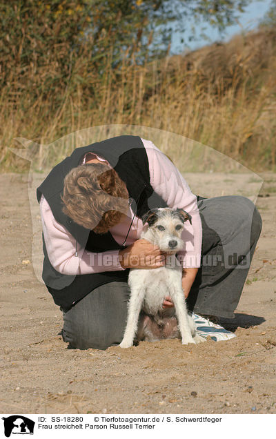 Frau streichelt Parson Russell Terrier / woman fondles Parson Russell Terrier / SS-18280