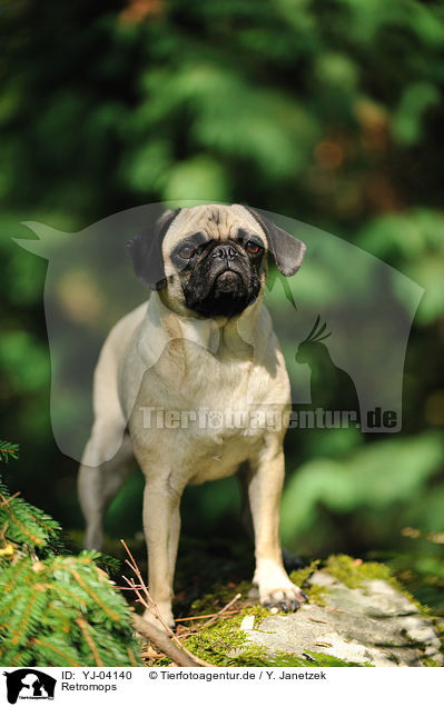 Retromops / retropug / YJ-04140
