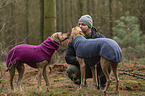Mann und 2 Rhodesian Ridgebacks