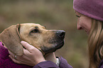 Frau und Rhodesian Ridgeback