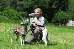 Frau und Whippets