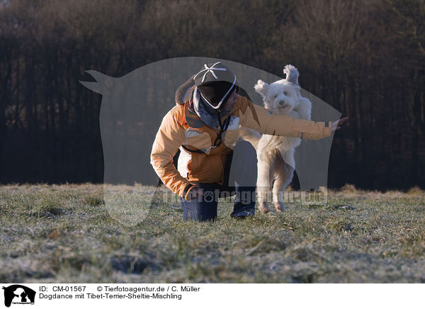 Dogdance mit Tibet-Terrier-Sheltie-Mischling / dogdance with mongrel / CM-01567