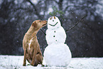 Winterhunde II