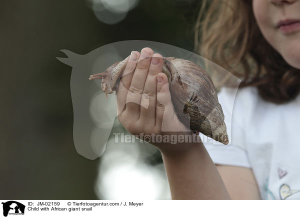 Kind mit Afrikanische Riesenschnecke / Child with African giant snail / JM-02159