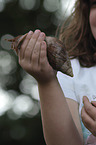 Child with African giant snail