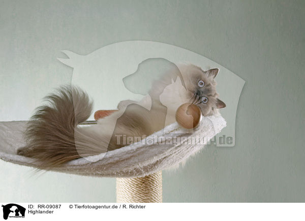 Highlander / Britanica / RR-09087