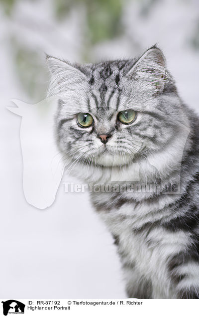 Highlander Portrait / Highlander Portrait / RR-87192